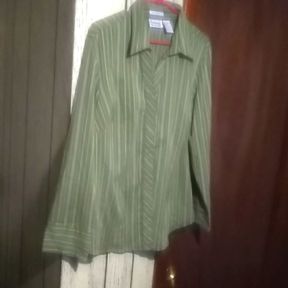 Green long sleeve blouse